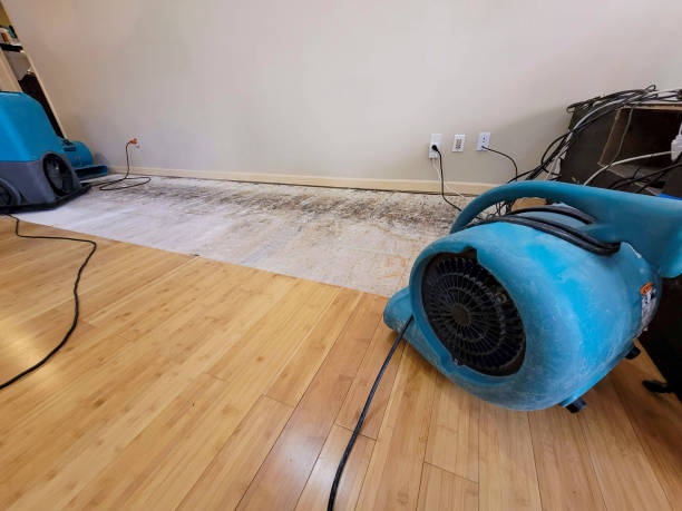 Professional Sewage Cleanup technician working in Wilton, ME
